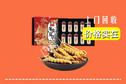 温州市乐清回收冬虫夏草