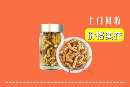 温州市乐清回收散虫草