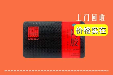 温州市乐清回收阿胶